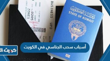 أسباب سحب الجناسي في الكويت