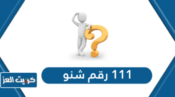 111 رقم شنو