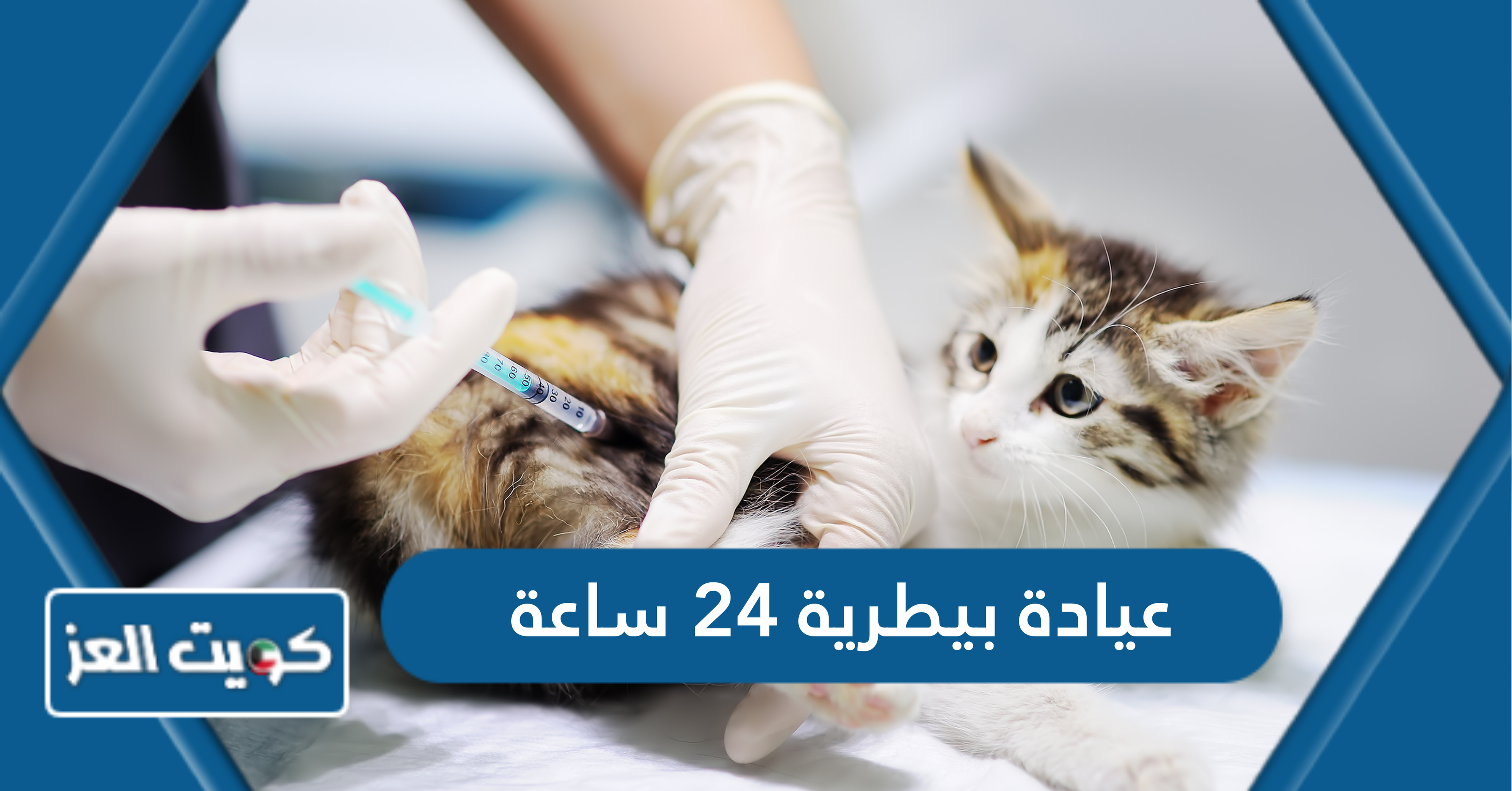 أفضل عيادة بيطرية 24 ساعة الكويت